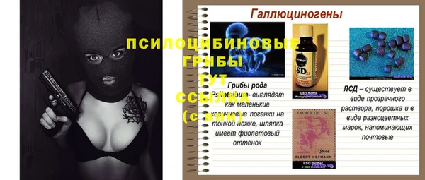 мет Ладушкин