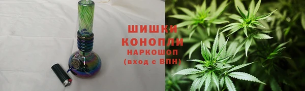 ГАЛЛЮЦИНОГЕННЫЕ ГРИБЫ Кулебаки