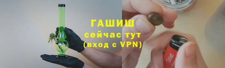 ГАЛЛЮЦИНОГЕННЫЕ ГРИБЫ Кулебаки