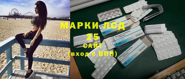 ГАЛЛЮЦИНОГЕННЫЕ ГРИБЫ Краснослободск
