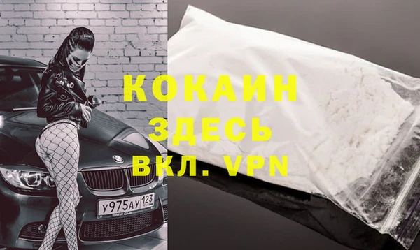 амф Кукмор
