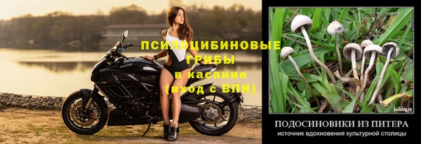 ГАЛЛЮЦИНОГЕННЫЕ ГРИБЫ Краснослободск