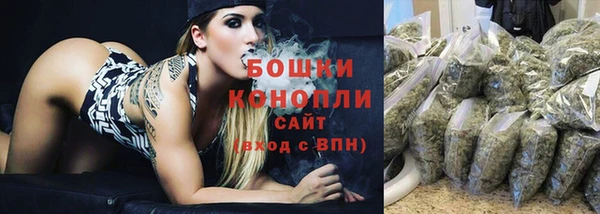 ГАЛЛЮЦИНОГЕННЫЕ ГРИБЫ Кулебаки