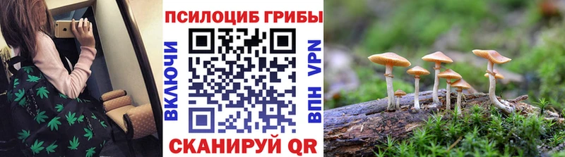 Псилоцибиновые грибы ЛСД  Купить  Липки 